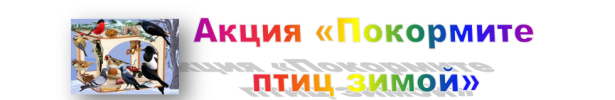 Акция «Покормите птиц зимой» продолжается!